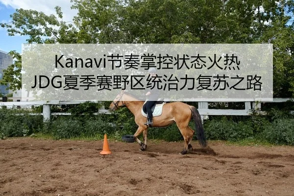 Kanavi节奏掌控状态火热 JDG夏季赛野区统治力复苏之路（yaxin）